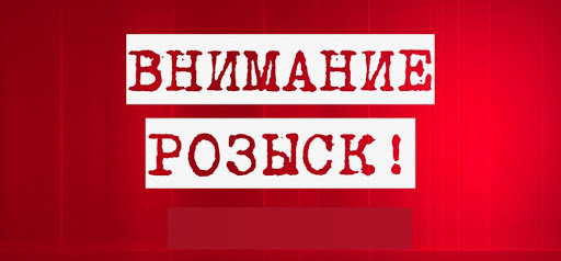 Внимание, розыск! Внимание, розыск!, Ярослава Соколовская